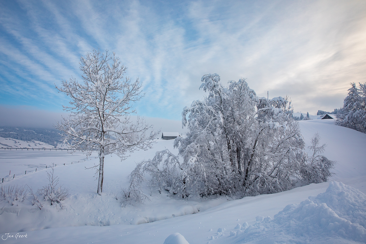 Gefrorener Sihlsee im Winter mit verschneiten Bäumen und Bauernhof, Einsiedeln Zentralschweiz Schweiz – Jan Geerk Fotograf Basel