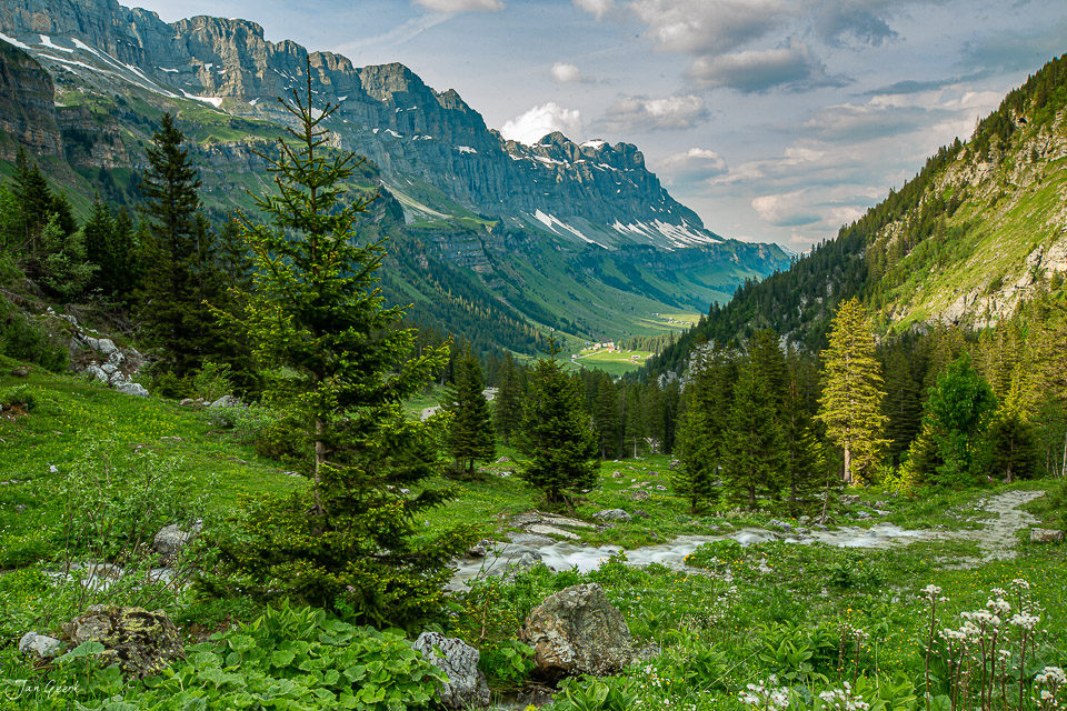 Alpental mit Berggipfel, Nadelwald und Bergbach im Urnerboden, Sommer, Zentralschweiz – Jan Geerk Fotograf Basel