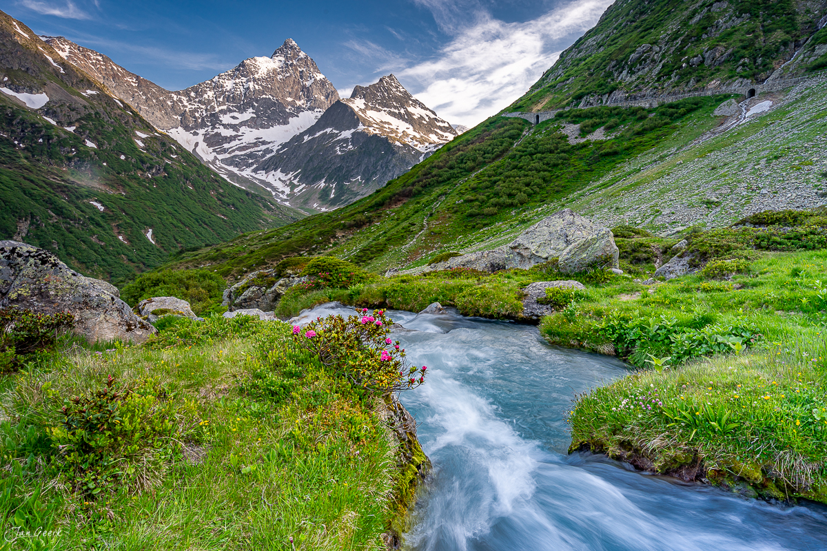 Alpenmilchbach mit Alpenrosen am Sustenpass, schneebedeckte Gipfel, grüne Bergwiesen, Schweiz – Jan Geerk Fotograf Basel