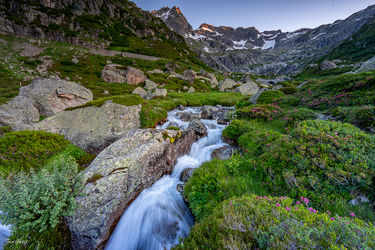 Bergbach mit Alpenrosen am Sustenpass im Sommer, Uri Schweiz – Jan Geerk Fotograf Basel