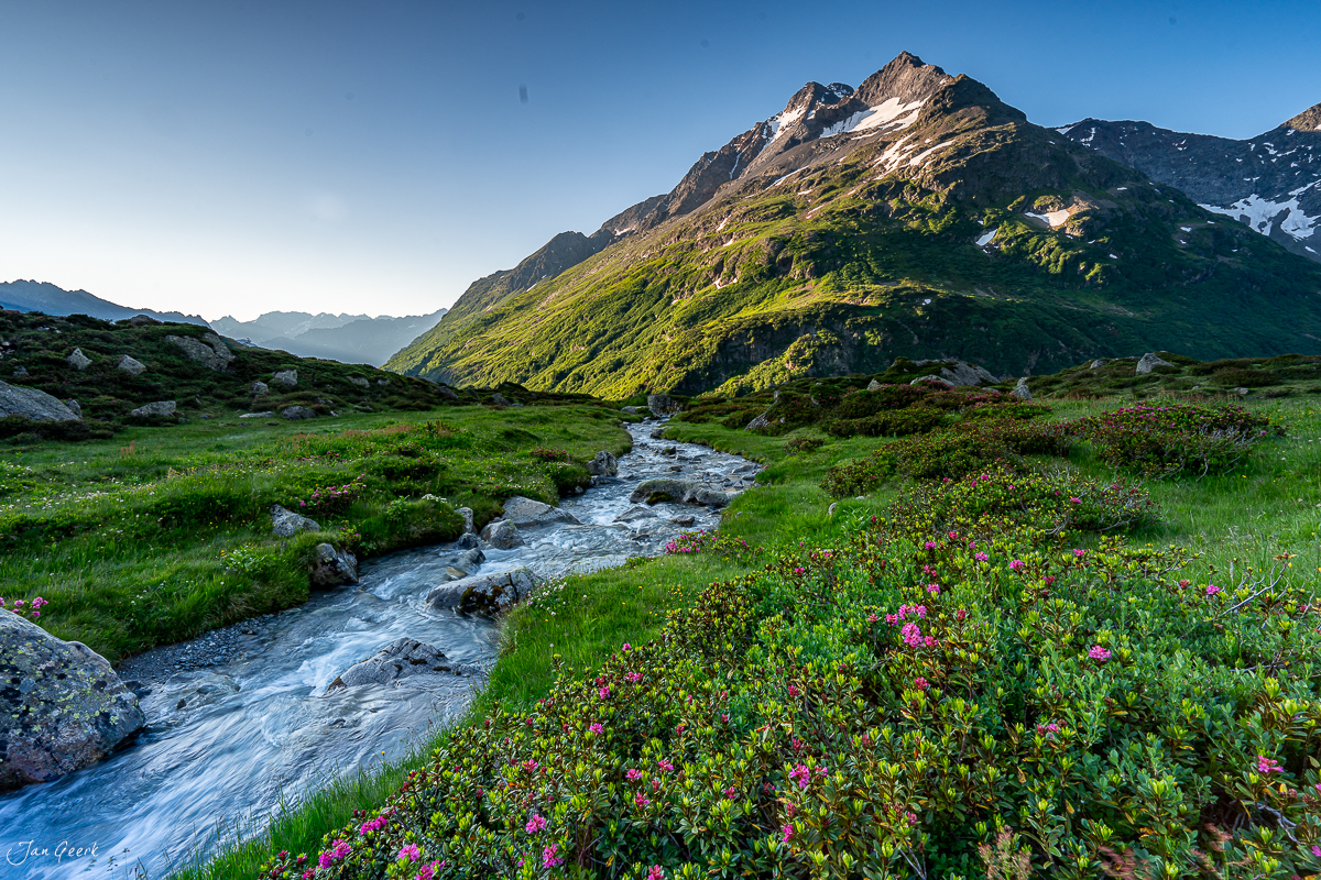 Alpengipfel mit Bergbach, Alpenrosen und Wiesen am Sustenpass im Sommer, Uri Schweiz – Jan Geerk Fotograf Basel