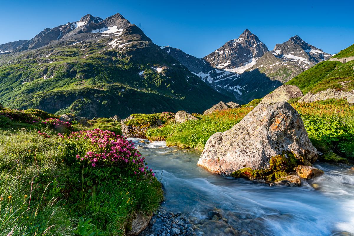 Alpenrosen und Bergbach am Sustenpass im Sommer, Uri Schweiz – Jan Geerk Fotograf Basel