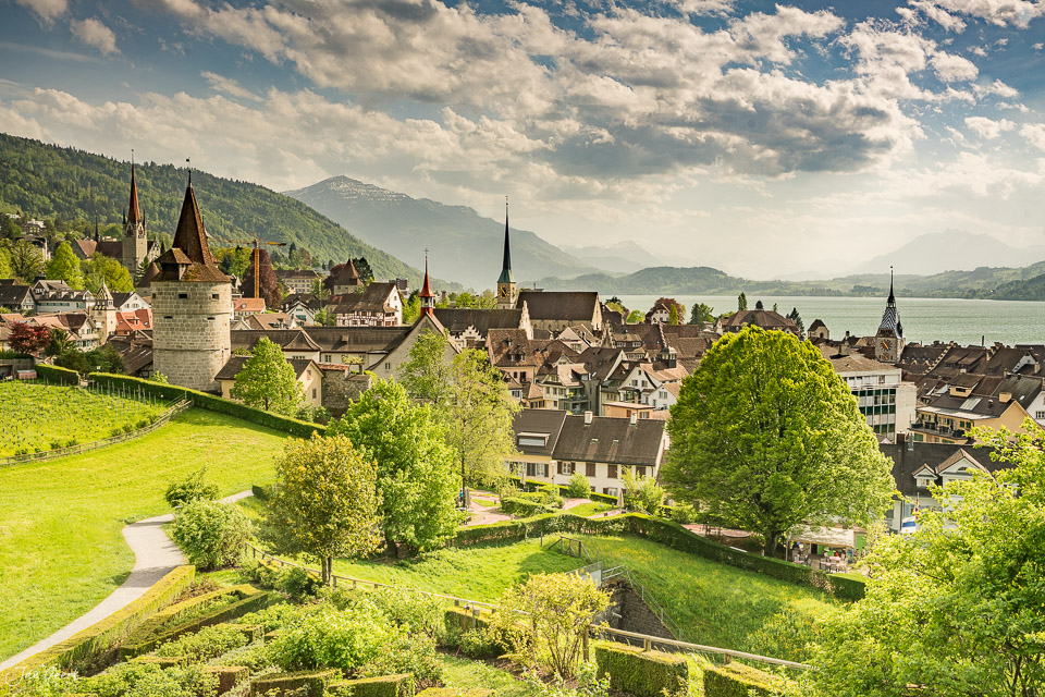 Altstadt Zug mit Kirchtürmen und Zugersee im Frühling, grüne Wiesen, Kantlicht, Schweiz – Jan Geerk Fotograf Basel