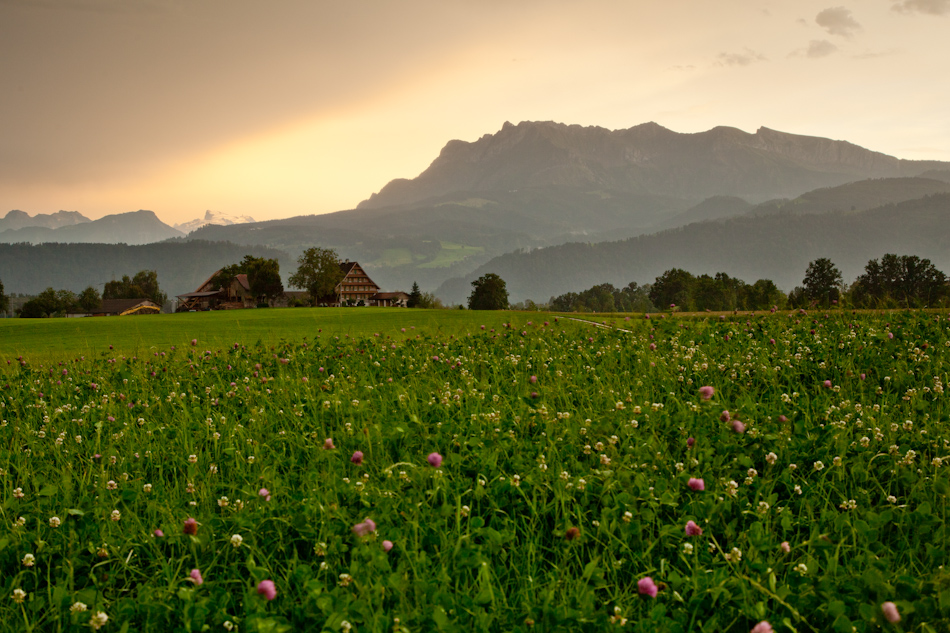 Frühjahrsblüte Pilatus Luzerner Hinterland Morgenlicht Zentralschweiz Schweiz – Jan Geerk Fotograf Basel