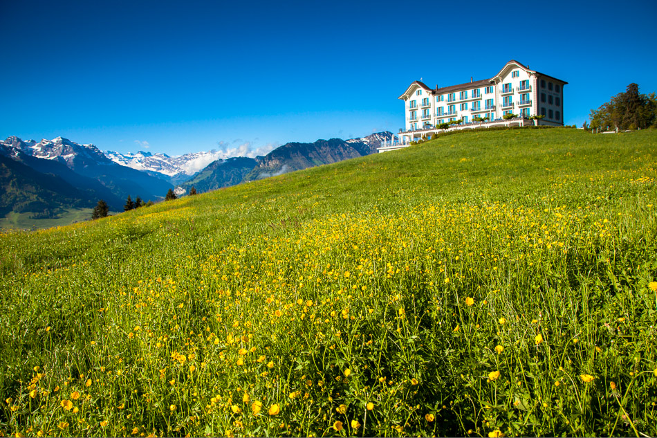 Blütenwiese mit Alphotel Chänzili Frühling Zentralschweiz Schweiz Jan Geerk Fotograf Basel