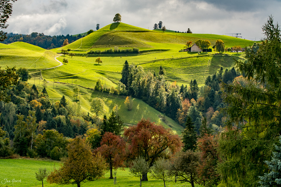 Grüne Drumlins-Landschaft mit Herbstfärben in Hirzel, sanfte Hügel und Wälder, Zentralschweiz – Jan Geerk Fotograf Basel
