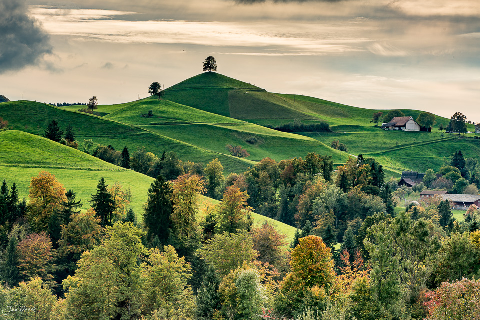 Herbstliche Drumlins-Landschaft mit grünen Hügeln und bunten Laubbäumen in Hirzel, Zentralschweiz – Jan Geerk Fotograf Basel