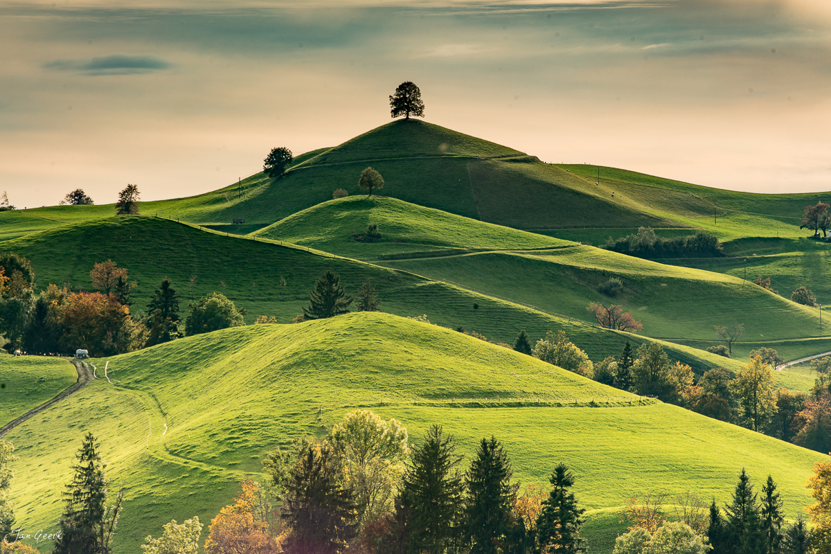 Grüne Drumlins-Landschaft mit markanten Hügeln und vereinzelten Bäumen in Hirzel, Herbststimmung, Zentralschweiz – Jan Geerk Fotograf Basel