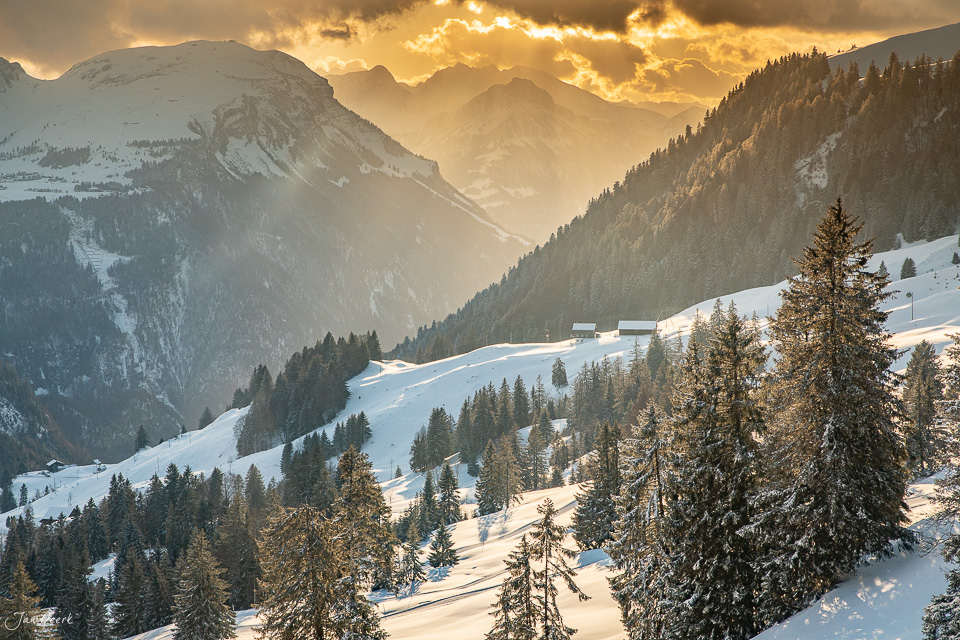 Schneebedeckte Berglandschaft Ibergeregg mit verschneiten Fichten und goldenem Himmel Winter Zentralschweiz Schweiz Jan Geerk Fotograf Basel