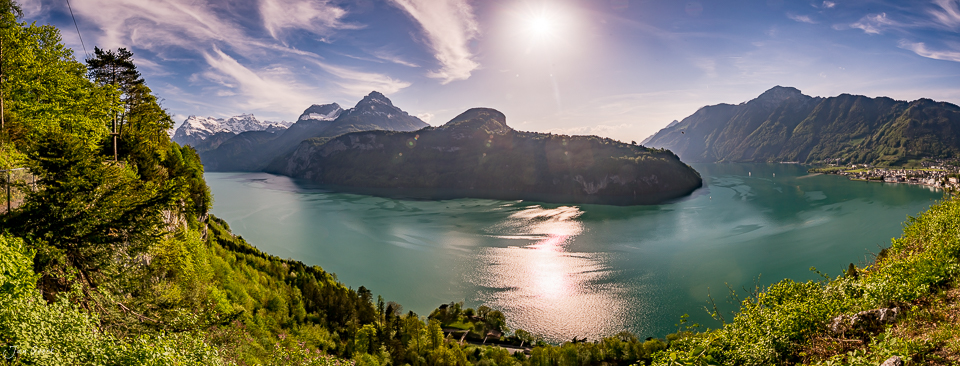 Vierwaldstättersee mit bewaldeten Bergen und türkisem Wasser bei Morschach im Frühling, Zentralschweiz – Jan Geerk Fotograf Basel