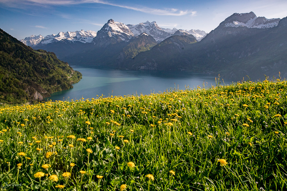 Blühendes Frühjahrstal mit See und schneebedeckten Bergen über Morschach in der Zentralschweiz – Jan Geerk Fotograf Basel