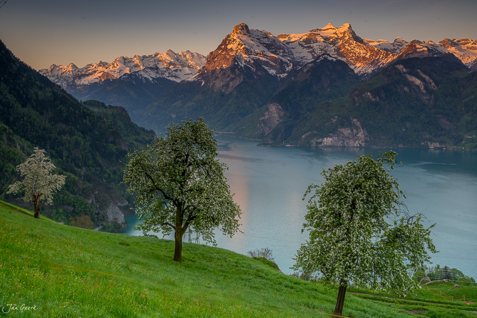 Bergpanorama mit Birken am Urnersee bei Morschach, Frühjahrslight, Zentralschweiz – Jan Geerk Fotograf Basel