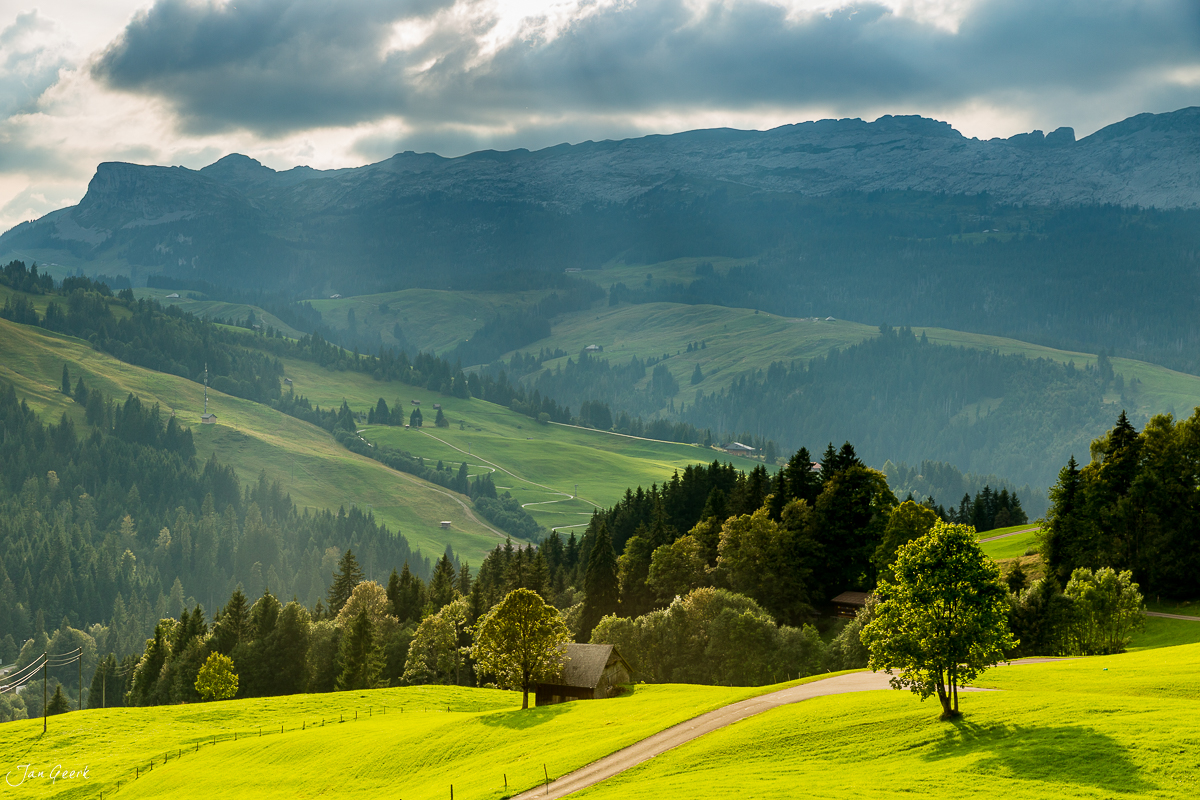 Alpwiese mit Bergbach in Sörenberg, grüne Sommerwiesen vor Bergpanorama, Schweiz – Jan Geerk Fotograf Basel