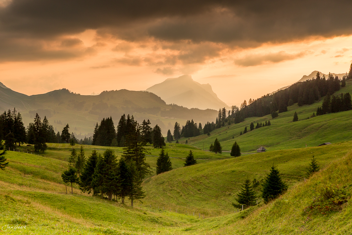 Grüne Alpweiden mit Fichten und Berggipfel im goldenen Sonnenlicht bei Sörenberg Schweiz Jan Geerk Fotograf Basel