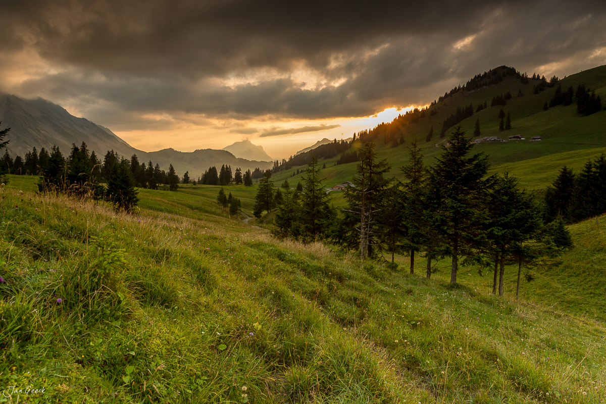Alpwiese mit Fichten unter dramatischem Himmel in Sörenberg, Zentralschweiz, Sommer – Jan Geerk Fotograf Basel