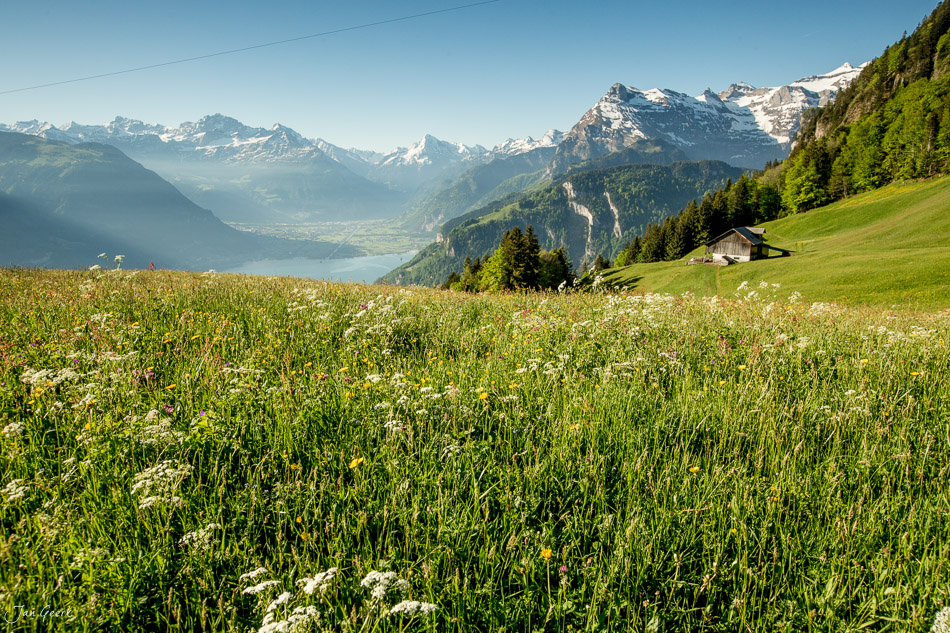 Blühendes Frühjahrstal mit See und Bergkette in Seelisberg, Zentralschweiz – Jan Geerk Fotograf Basel