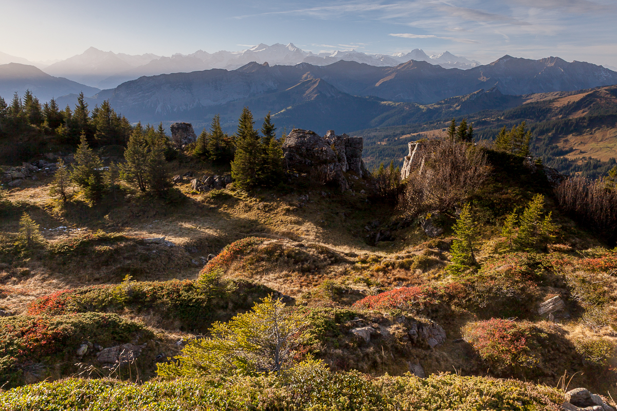 Herbstliches Alpental Fürstein Glaubenberg Voralpen Zentralschweiz Fotografie
