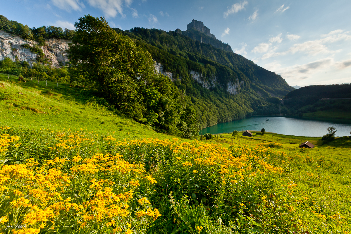 Seelisberger Seeli Blütenwiesen Frühling Zentralschweiz Schweiz – Jan Geerk Fotograf Basel