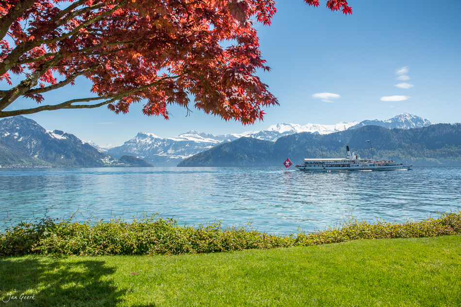 Dampfschiff auf dem Vierwaldstättersee mit herbstlichem Ahornbaum im Vordergrund, Schweizer Alpen im Hintergrund – Jan Geerk Fotograf Basel