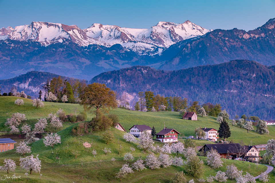 Kirschblüte und Bauernhöfe in Weggis mit schneebedecktem Pilatus im Frühling – Jan Geerk Fotograf Basel