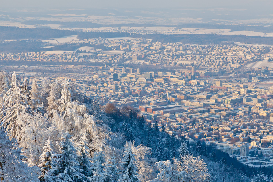 Zürich Stadtpanorama Schneebedeckte Fichten Uetliberg Wintermorgen Schweiz Jan Geerk Fotograf Basel