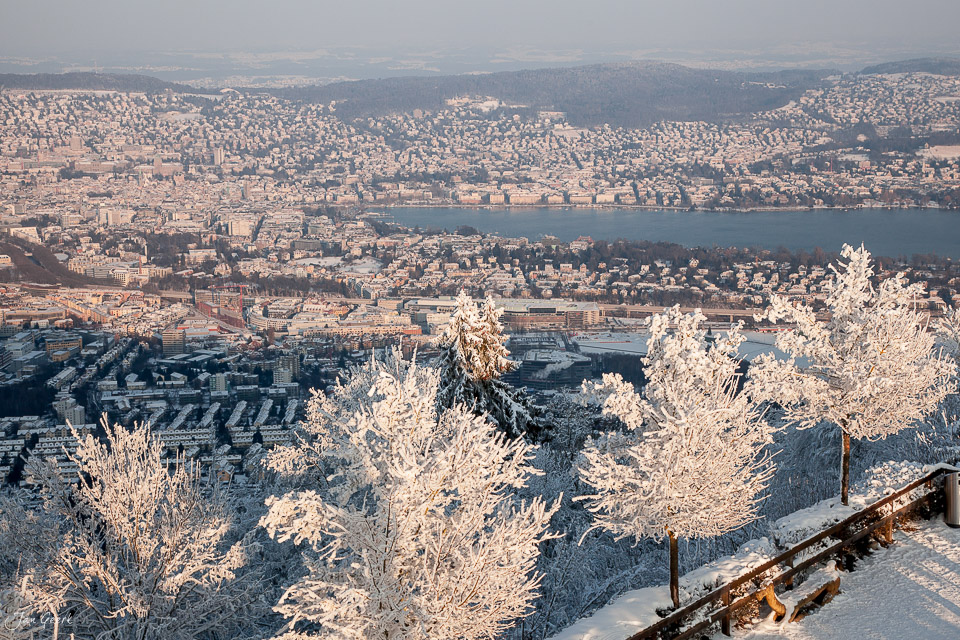 Zürich Uetliberg Winterlandschaft Schnee Stadtansicht Morgenlicht Schweiz Jan Geerk Fotograf Basel