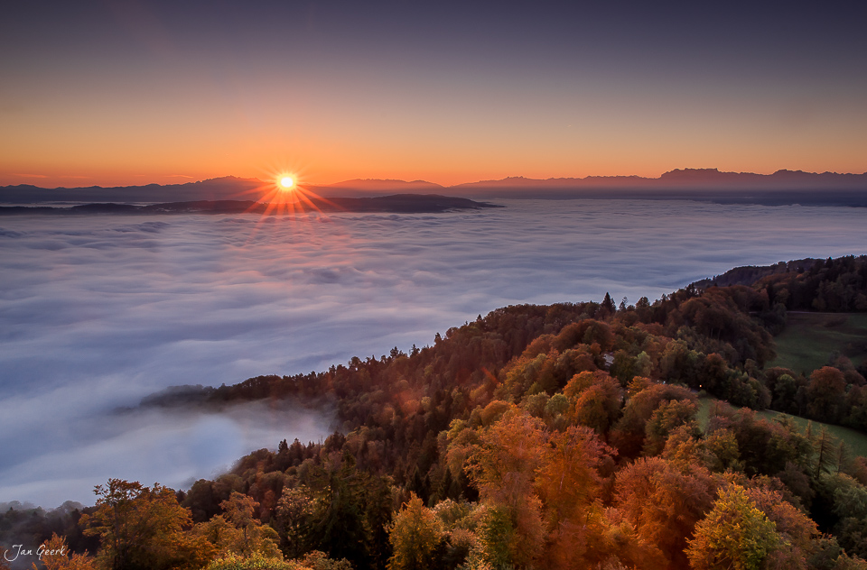 Herbstliche Wälder über Nebelmeer mit Sonnenaufgang am Uetliberg Zürich Schweiz von Fotograf Jan Geerk Basel