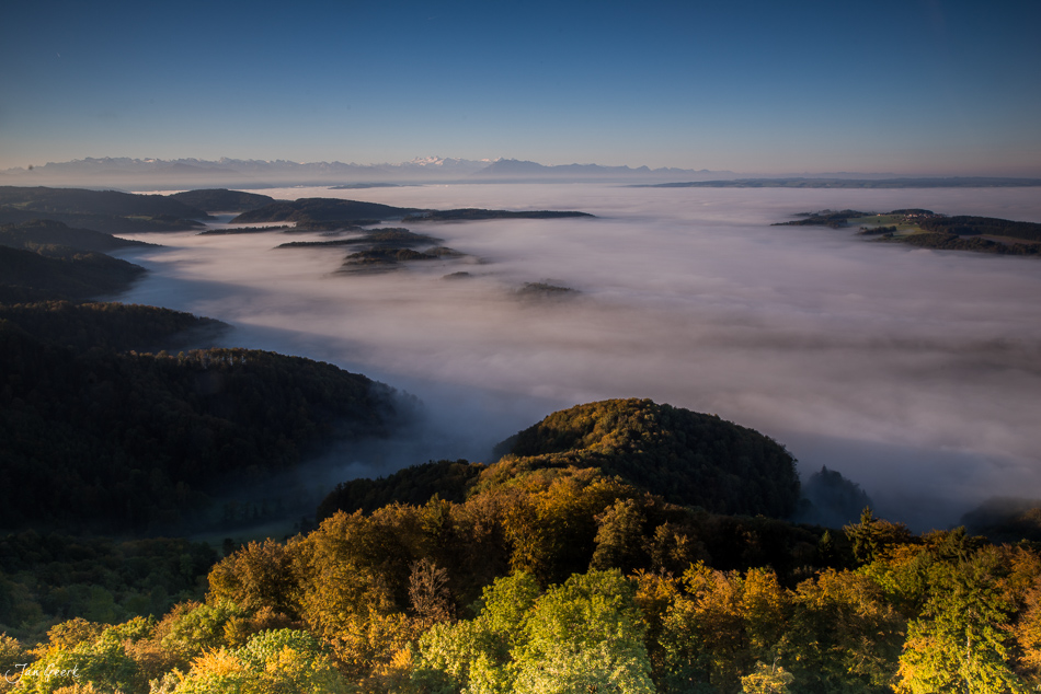 Herbstliches Nebelmeer über dem Uetliberg mit goldgelben Bäumen und Alpenpanorama, Zürich Schweiz – Jan Geerk Fotograf Basel