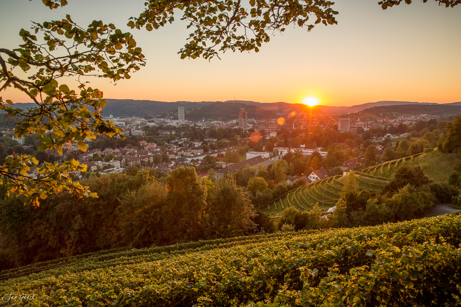 Sonnenuntergang über Winterthur mit Rebhängen im Vordergrund, Stadtpanorama und Töss-Tal, Sommer in der Schweiz – Jan Geerk Fotograf Basel