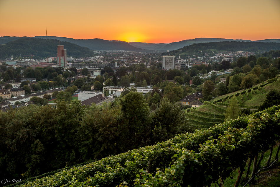Winterthur Stadtansicht mit Weinreben im Vordergrund bei goldenem Sonnenuntergang, Schweiz – Jan Geerk Fotograf Basel